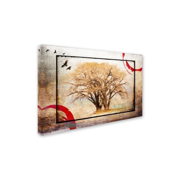 LightBoxJournal 'Cottonwood Tree Part 06' Canvas Art,12x19